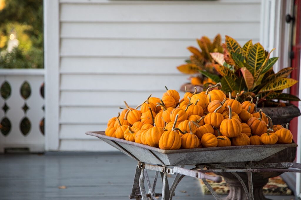 Wheelbarrow Of Little Pumpkins Fall Decor On Porch