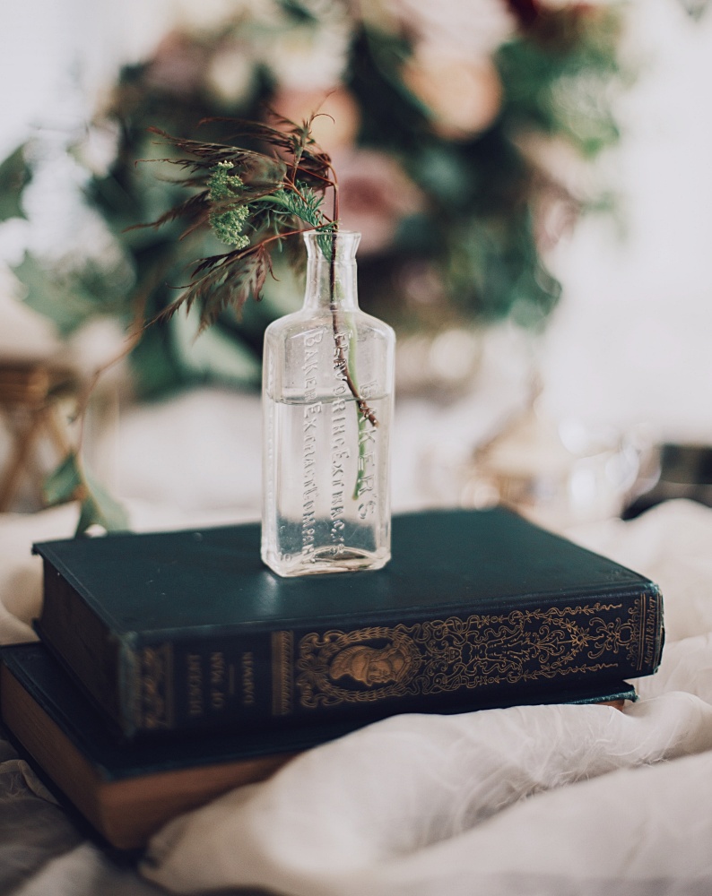 Simple Christmas vignettes - evergreen in vintage bottle
