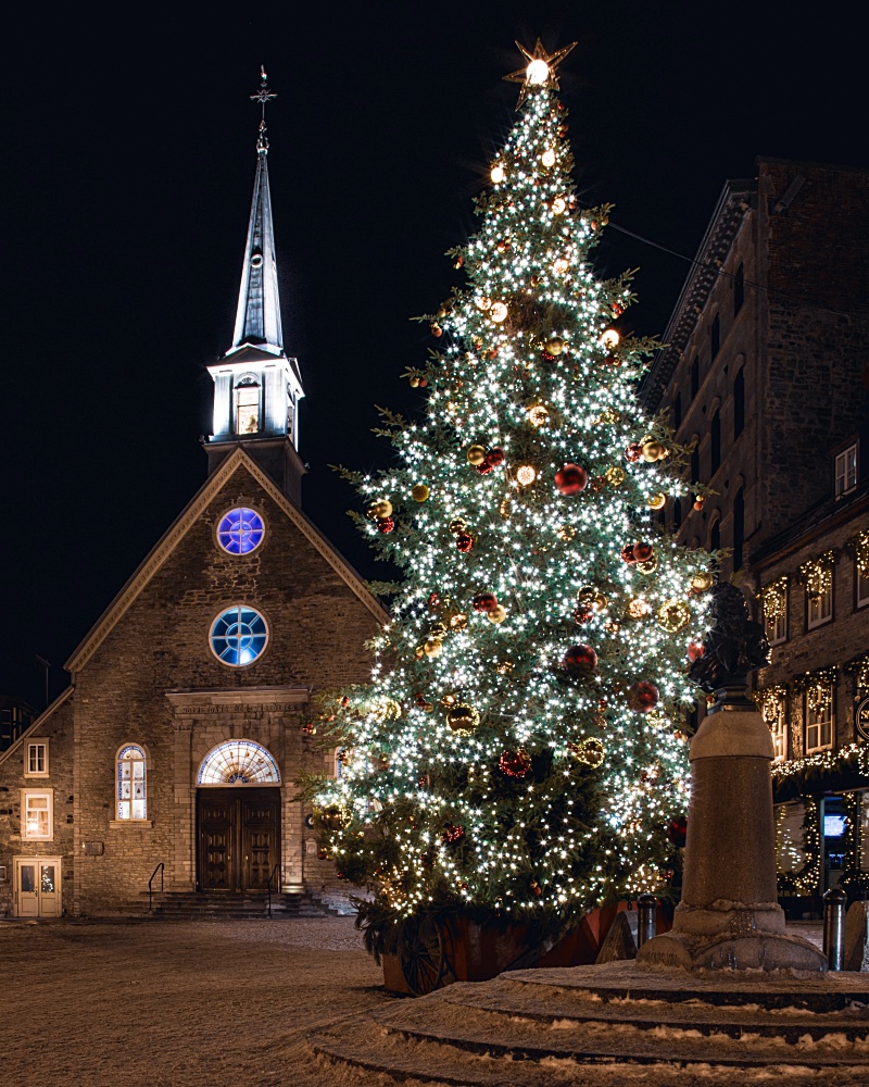 Christmas tree at night in Quebec