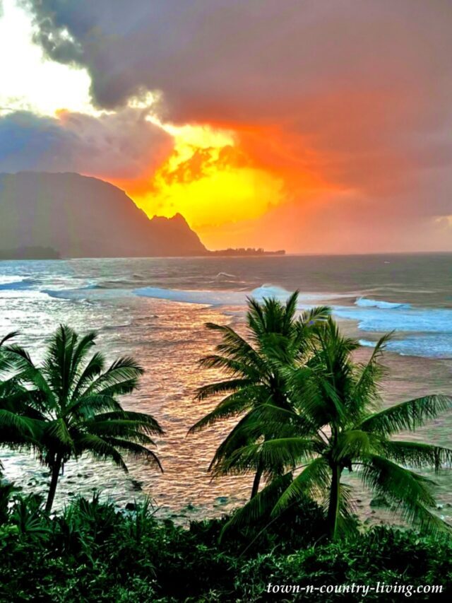 5 Reasons to Visit Kauai, Hawaii