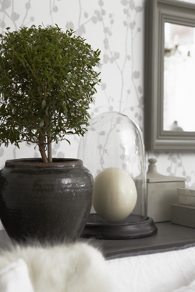 nature vignette with topiary and large egg cloche