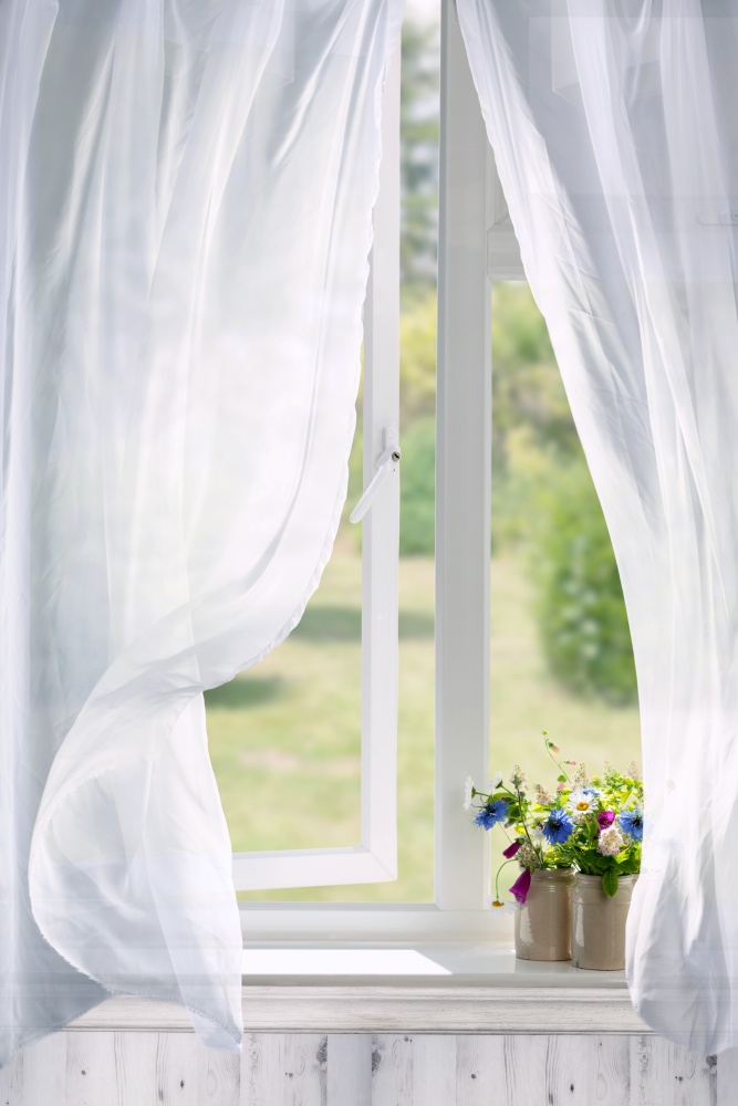 Pots of flowers in country cottage window with billowing curtains
