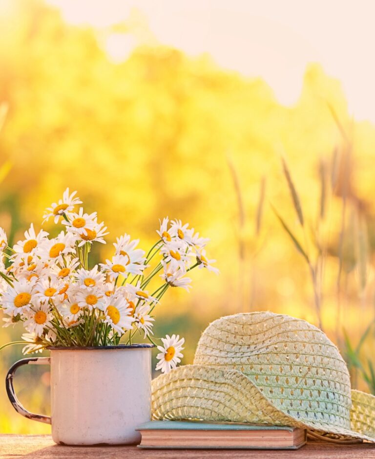 Daisies in vintage enamel mug