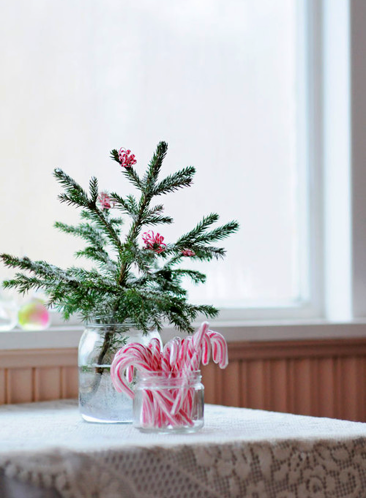 Mini Christmas tree in Mason jar