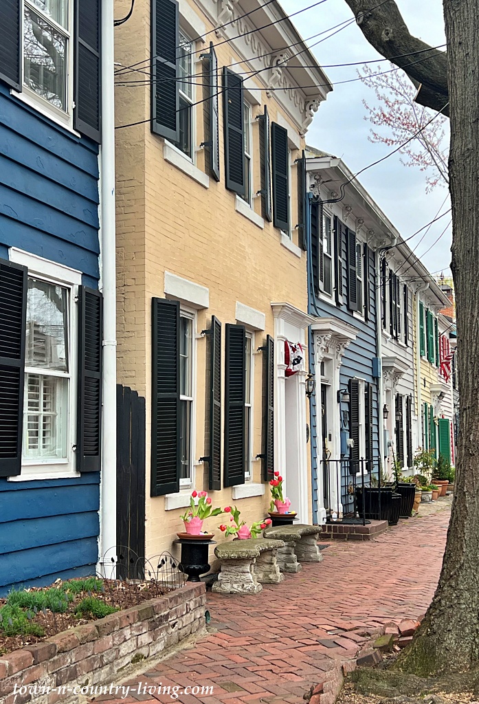 charming street in Alexandria, Virginia