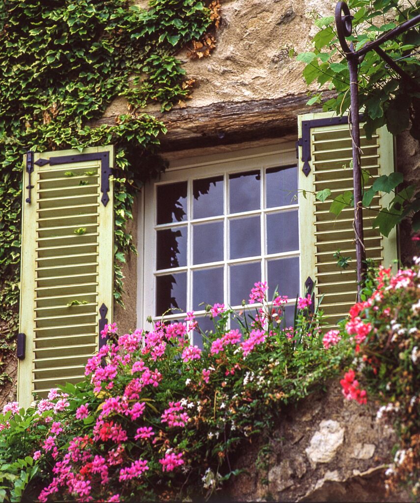 cottage window flowers