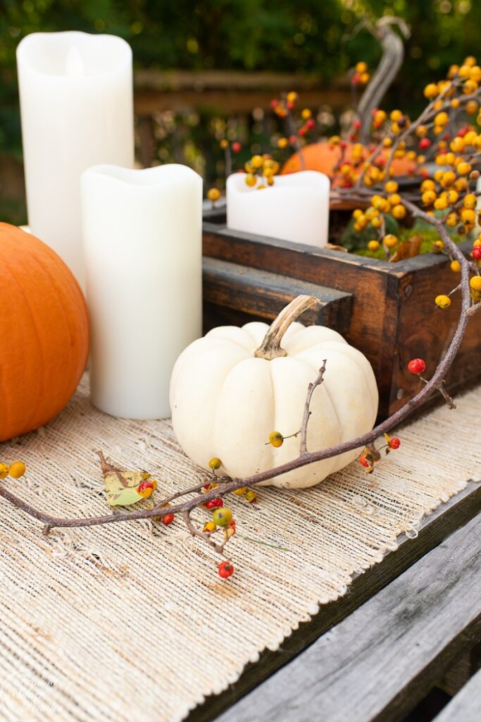 bittersweet fall table setting