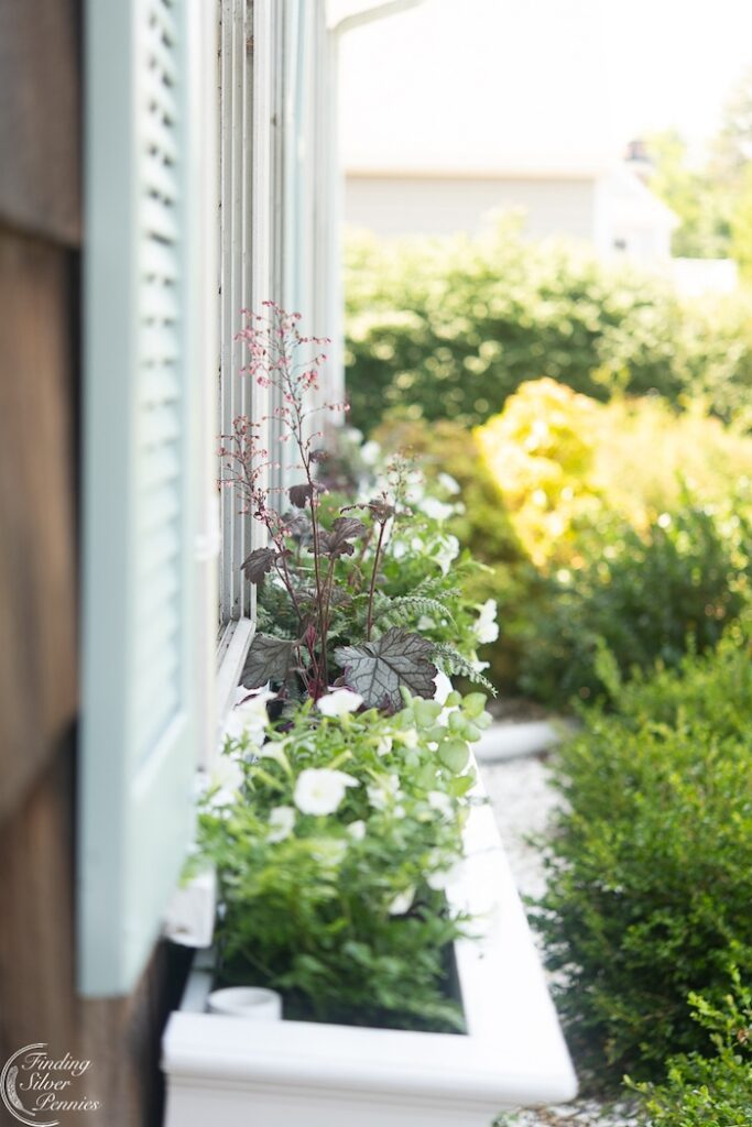 Fall window boxes