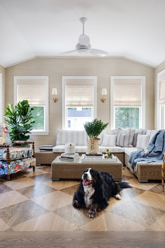 transitional sunroom with a Bernese mountain dog