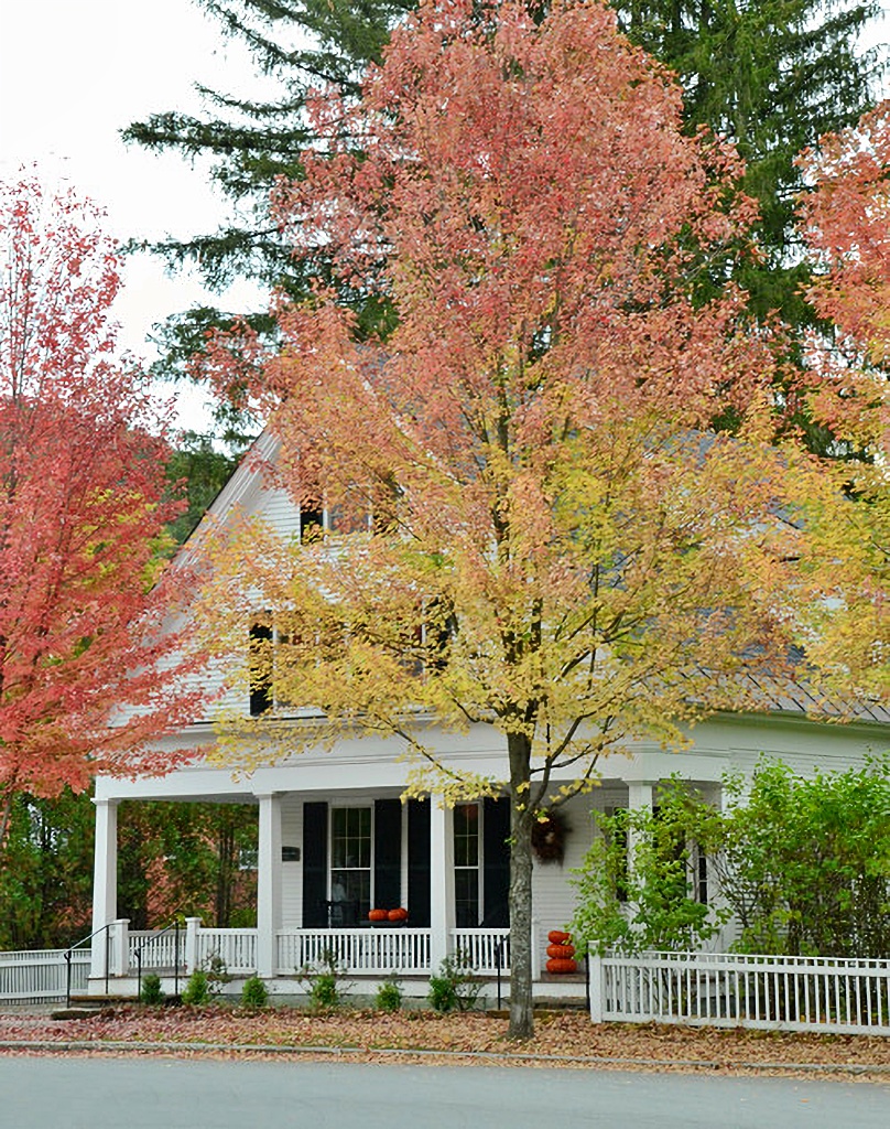 historic white home with fall trees outside