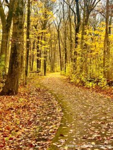 12 Things to Love About the Glorious Fall Season
