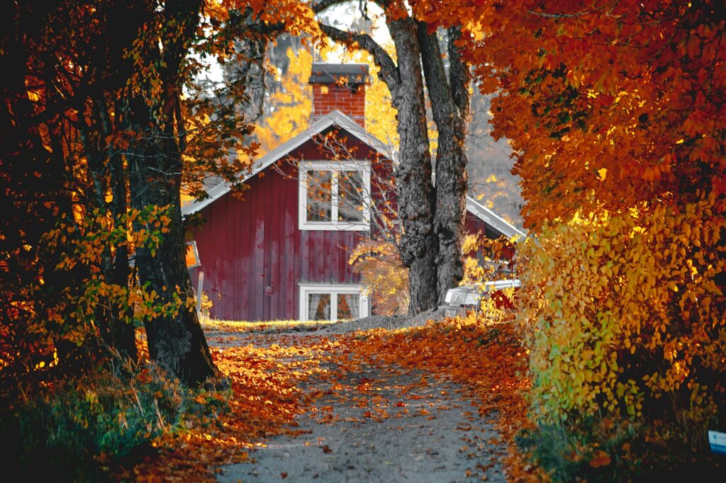 Beautiful autumn in Sweden