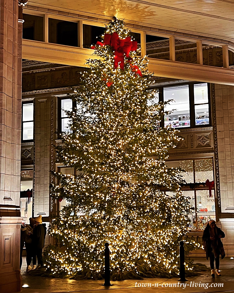 Christmas Trees of Chicago