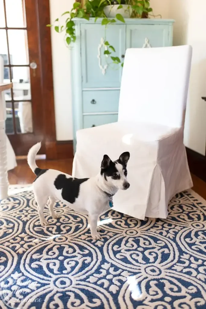 white slipcovers