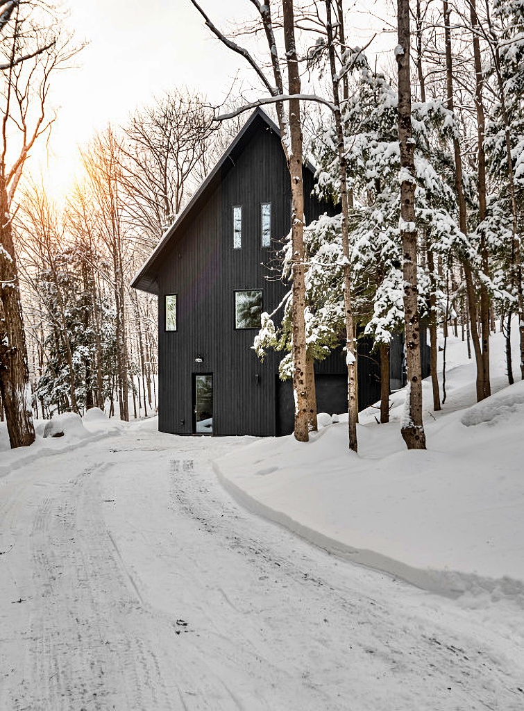 black small house in snowy woods of Canada