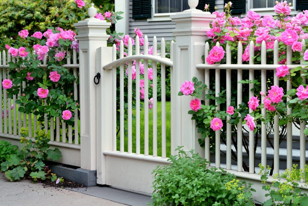 front gate with roses