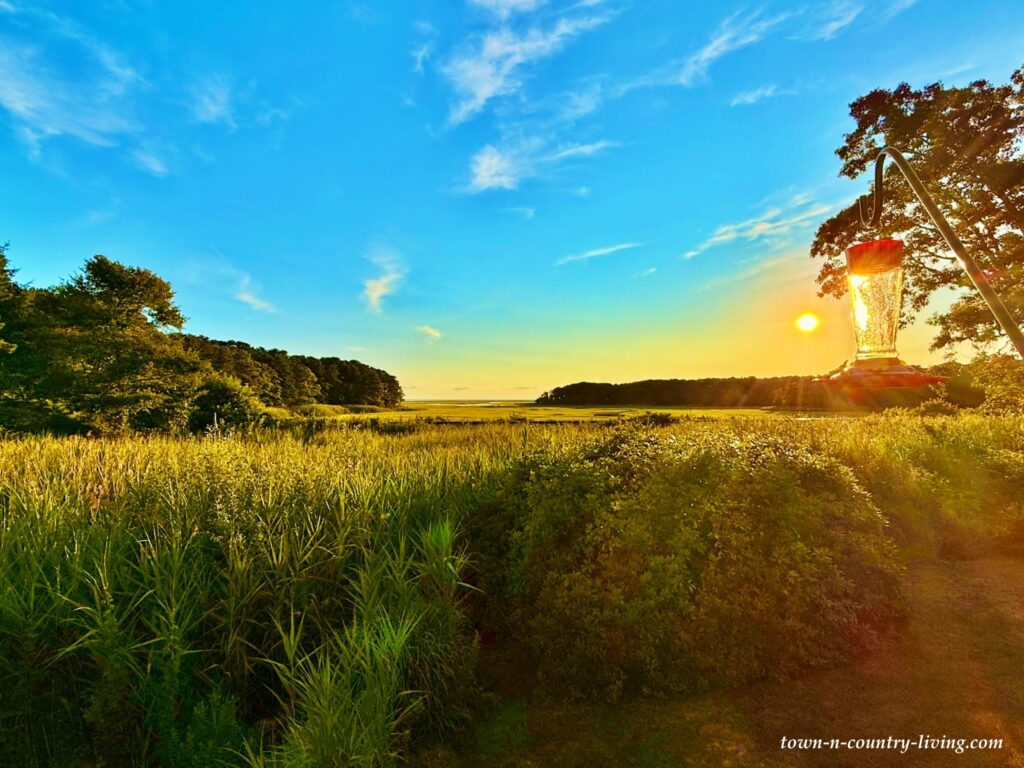 the beach at Sandwich, Massachusetts