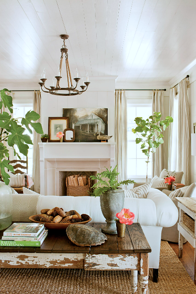 organic style living room