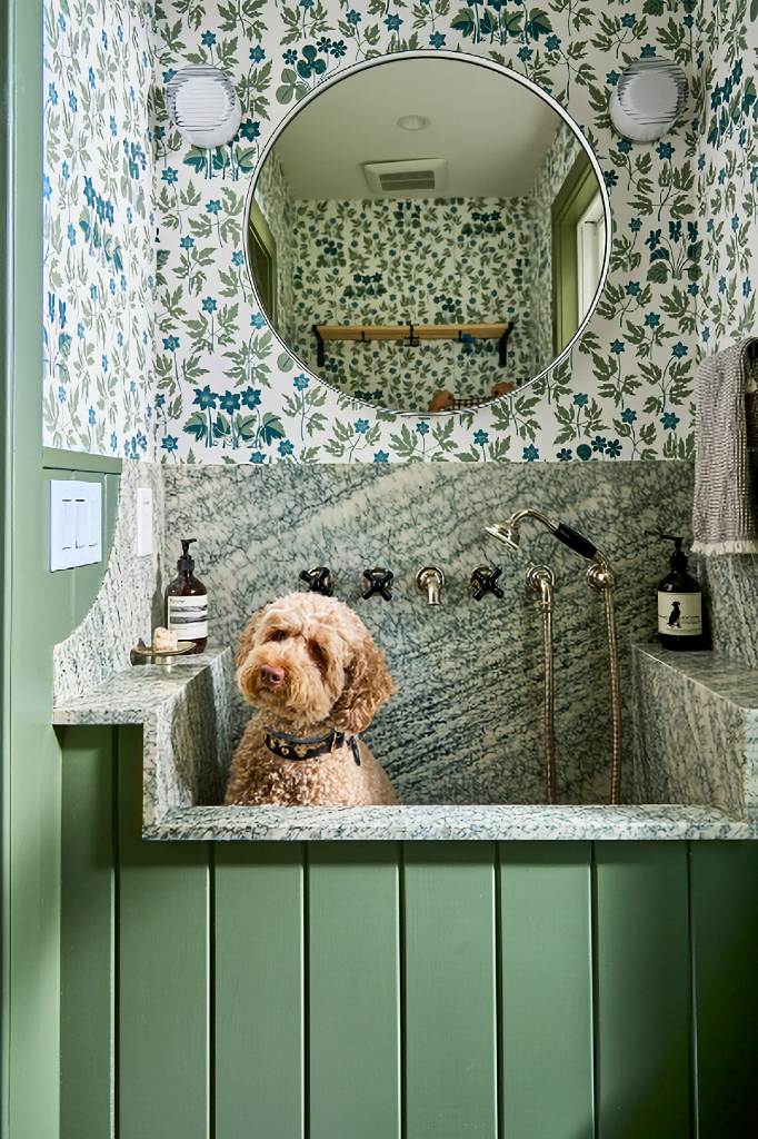 dog wash station in modern farmhouse