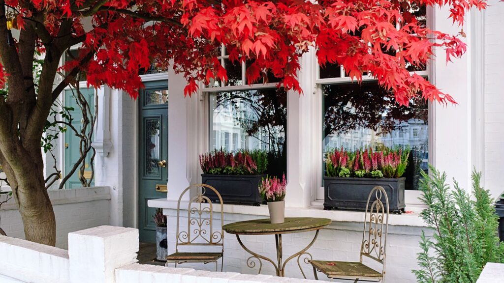 Cozy autumn scene with red maple tree, window box flowers, and vintage table