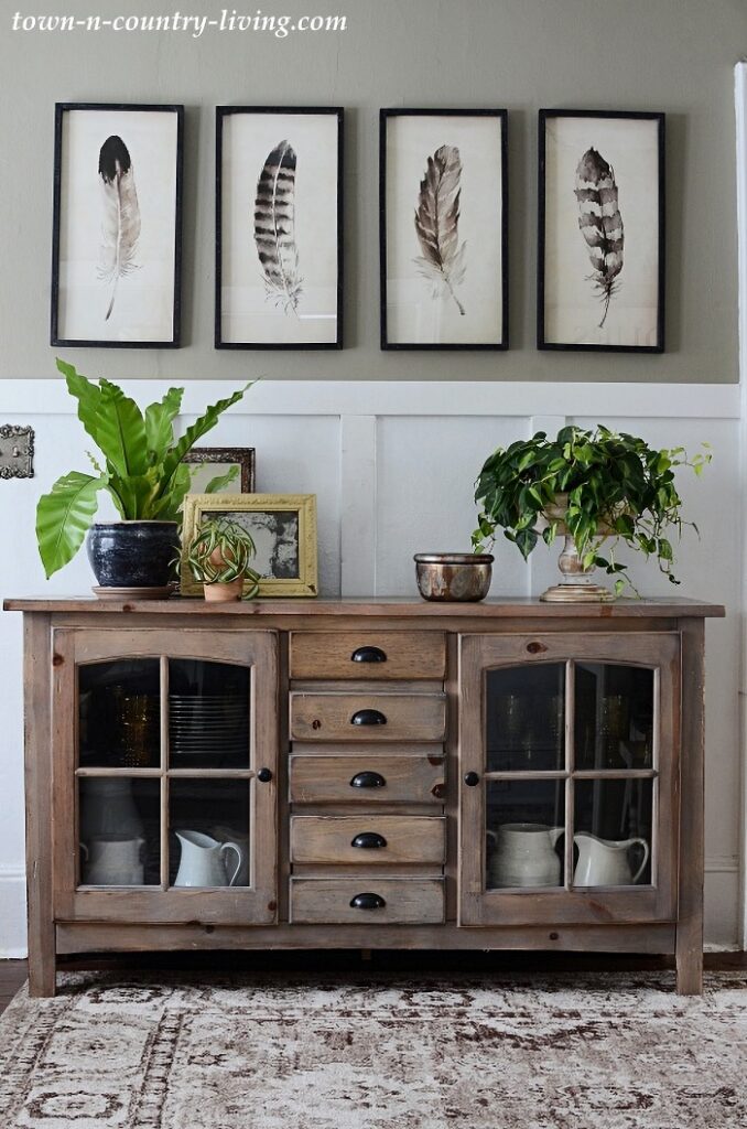 benefits and types of houseplants