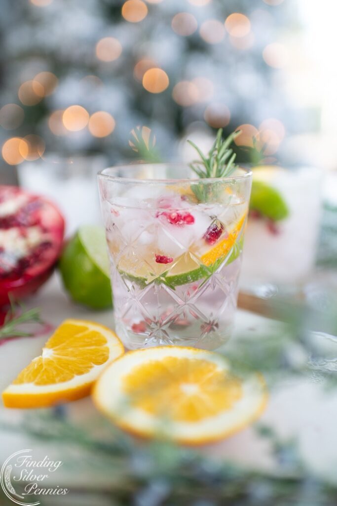 winter gin and tonic