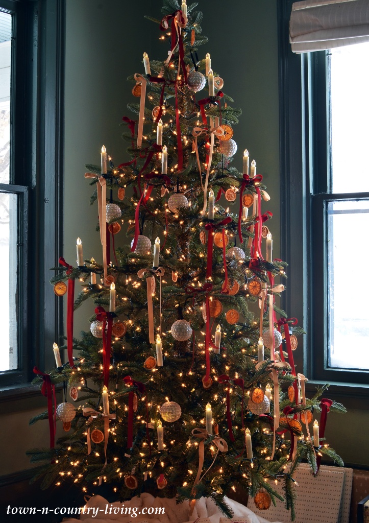 Christmas tree at night