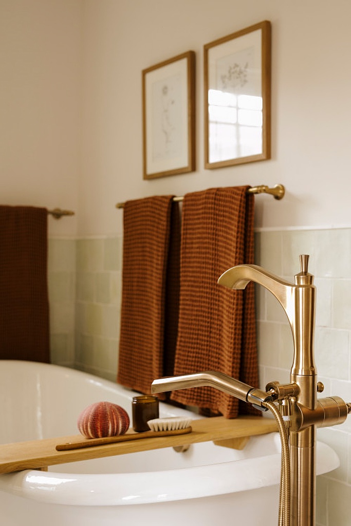 rust and brass accents in transitional bathroom
