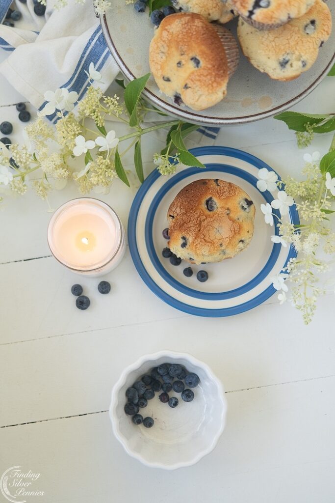 blueberry muffins