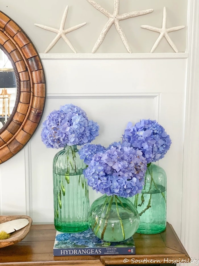 hydrangeas