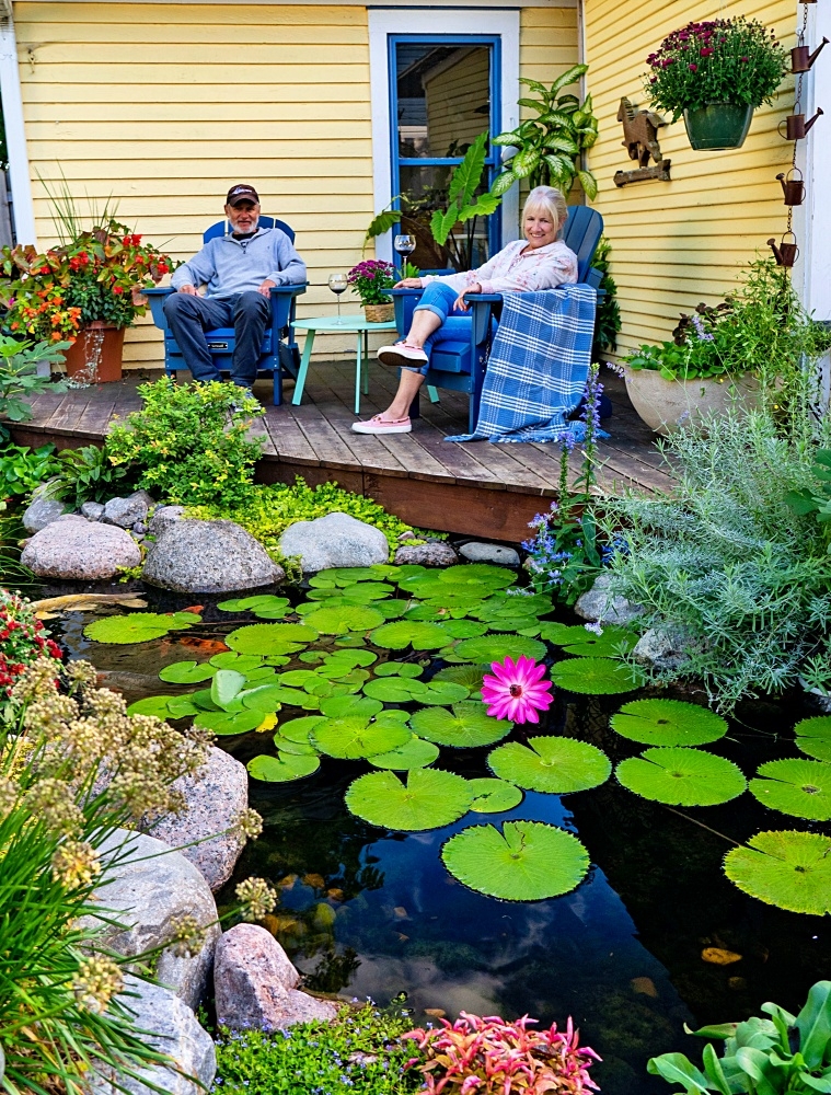 my backyard koi pond