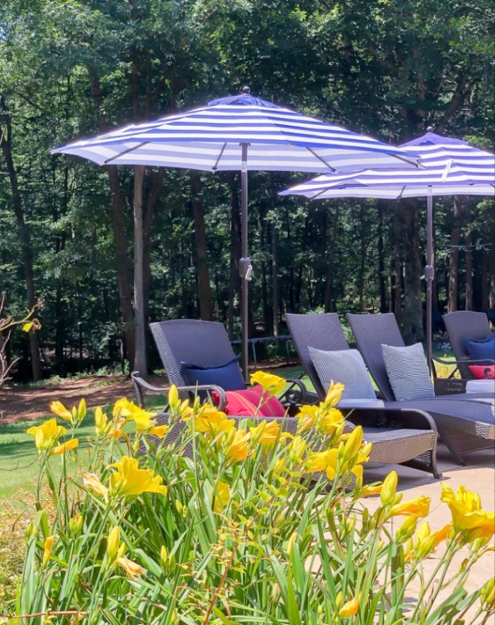 umbrella options