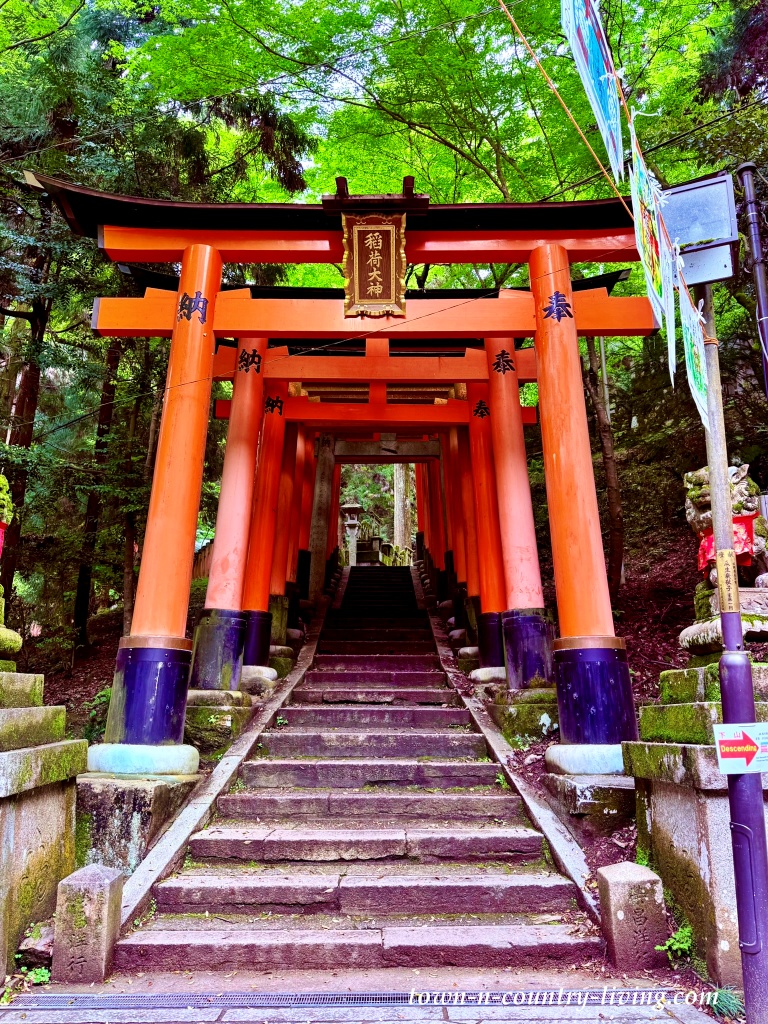 Fushimi-Inari-Taisha