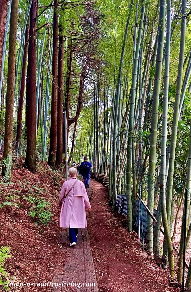 Fushimi Inari Taisha trail