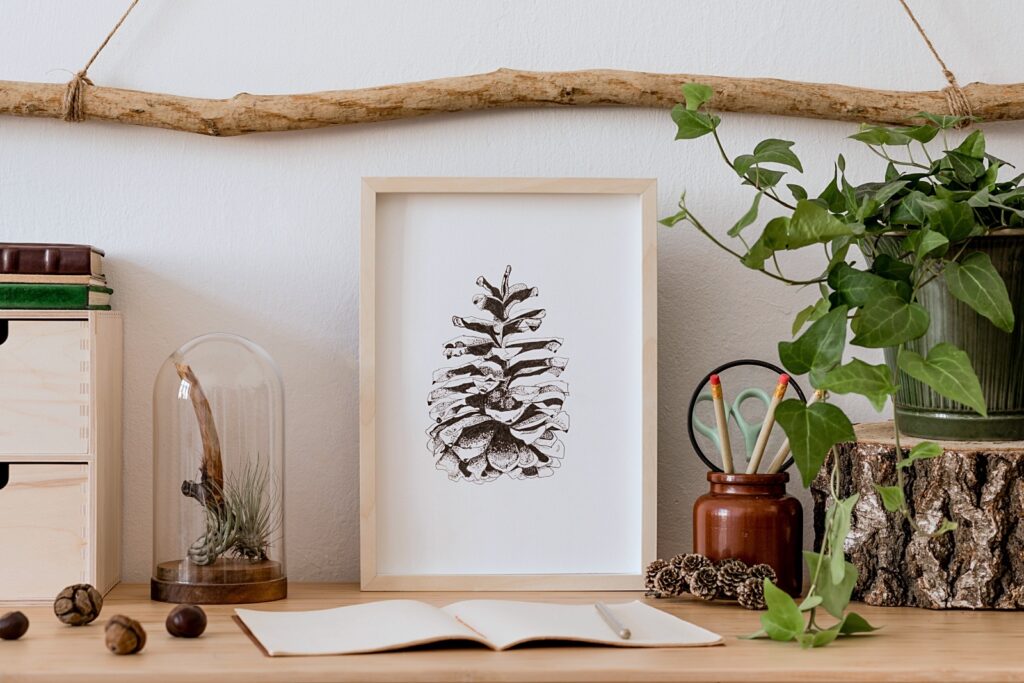 pine cone art print
