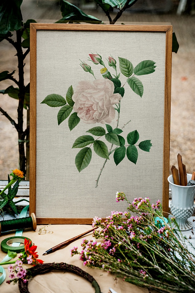 vintage botanical rose print