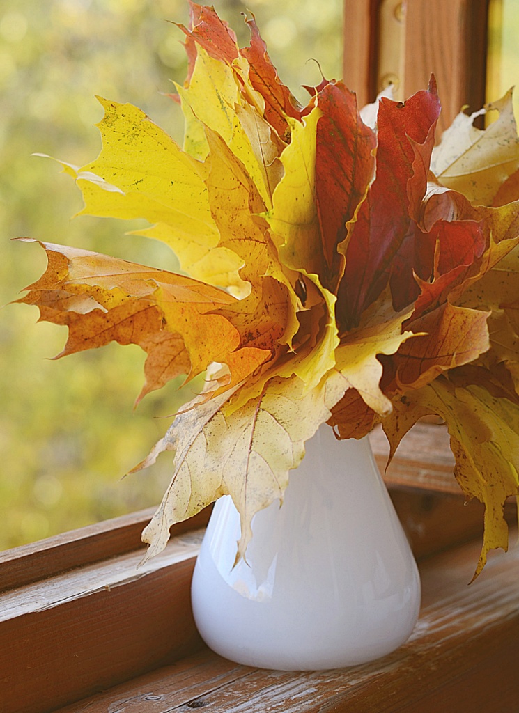 white pitcher with fall leaves