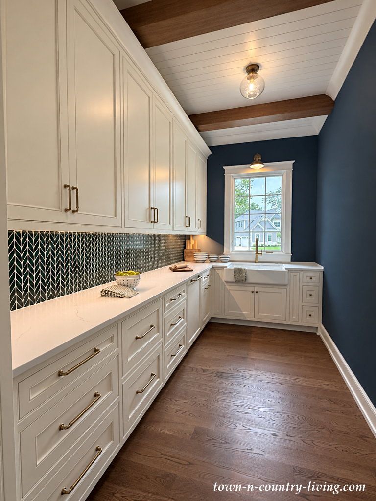 large pantry in designer home