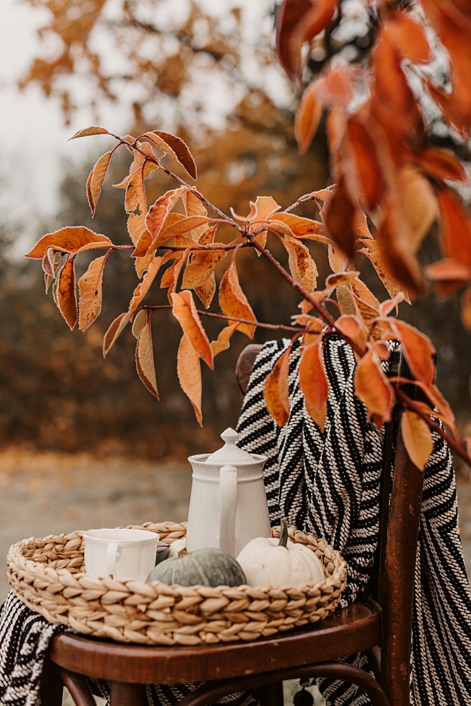 simple fall vignettes - indoors and out